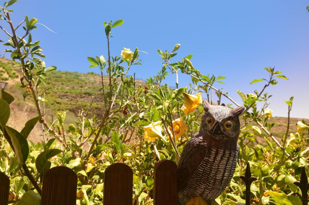 Villa Carmela บาแญร์โมโซ ภายนอก รูปภาพ